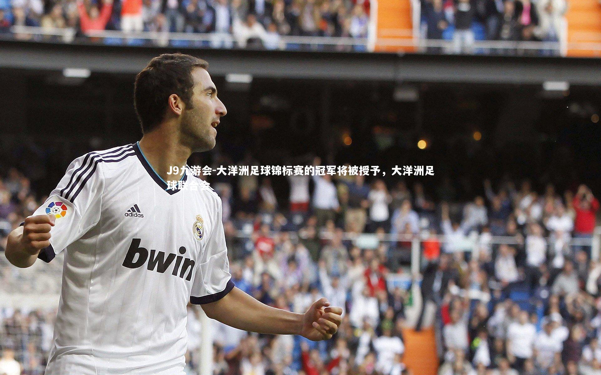 大洋洲足球锦标赛的冠军将被授予，大洋洲足球联合会